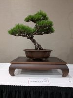 PXL_20250523_171219524.jpg