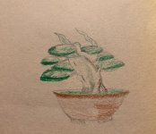 IMG_4111.jpeg