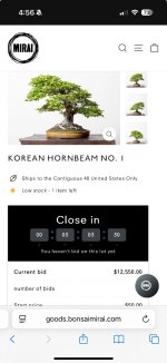 Korean Hornbeam No. 1 – Mirai Goods.jpeg Korean Hornbeam No. 1 – Mirai Goods.jpeg