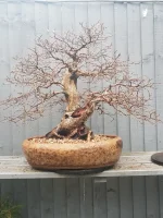 s-l1600 (5).webp s-l1600 (5).webp