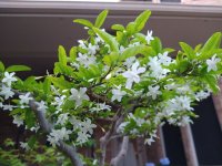 IMG_20250529_200954353.jpg
