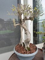 IMG_8073.jpeg