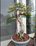 IMG_5570.jpeg