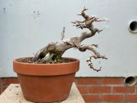 IMG_3259.jpeg