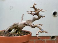 IMG_3260.jpeg