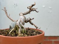 IMG_3263.jpeg