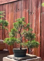 IMG_4030.jpeg
