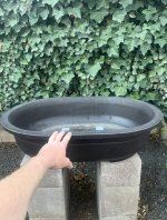 IMG_0550.jpeg