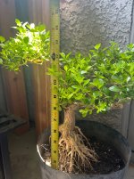 IMG_6155.jpeg