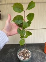 IMG_9115.jpeg
