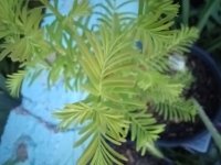 20250610_054220.jpg 20250610_054220.jpg