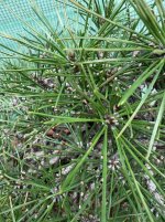 IMG_3030.jpeg