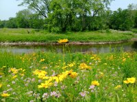 Valley View park.jpg