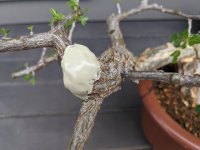 Cut Sealant_07.JPG