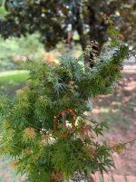 IMG_5966.jpeg