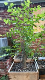 IMG_1016.jpeg