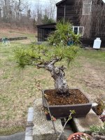 IMG_1492.jpeg IMG_1492.jpeg