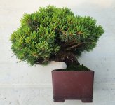 20250530_163110 (1).jpg