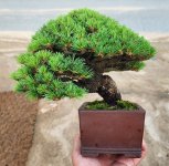 20250617_183104 (2).jpg