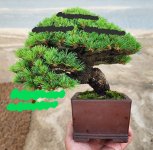 20250617_183104 (2) (1).jpg