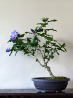 PXL_20230902_205631726.jpg