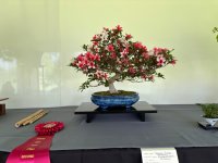 IMG_3692.jpeg