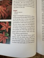 IMG_6068.jpeg