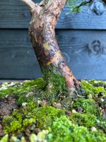 IMG_0120.jpeg