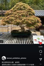 IMG_6122.jpeg