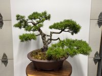 IMG_6189.jpeg IMG_6189.jpeg