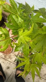 IMG_8715.jpeg