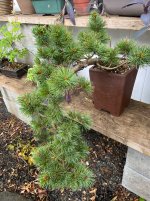 IMG_3628.jpeg