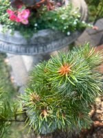 IMG_3624.jpeg