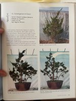 IMG_0862.jpeg