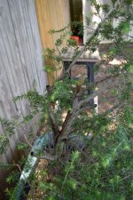 DSC_9463.JPG