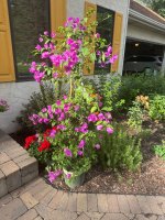 IMG_6628.jpeg