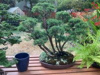IMG_0687.jpeg
