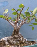 IMG_5411_edited.jpg IMG_5411_edited.jpg