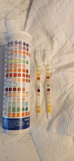 17523423587132971813410264741272.jpg 17523423587132971813410264741272.jpg