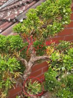 IMG_1761.jpeg