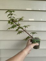 IMG_5619.jpeg