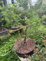 IMG_9046.jpeg