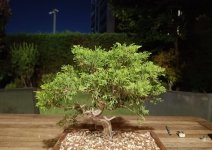 WhatsApp Görsel 2025-07-18 saat 23.29.44_f15ba9be.jpg WhatsApp Görsel 2025-07-18 saat 23.29.44_f15ba9be.jpg