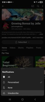 Screenshot_20250719_175257_YouTube.jpg