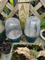 IMG_6459.jpeg IMG_6459.jpeg