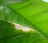 P1100417.JPG P1100417.JPG