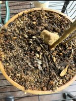 IMG_3253.jpeg IMG_3253.jpeg