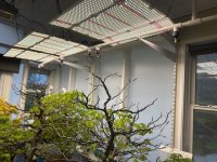 IMG_6747.jpeg IMG_6747.jpeg