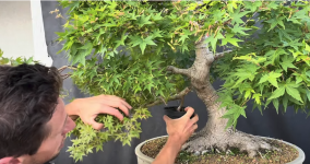 1753655810042.png 1753655810042.png