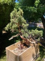 IMG_3411.jpeg